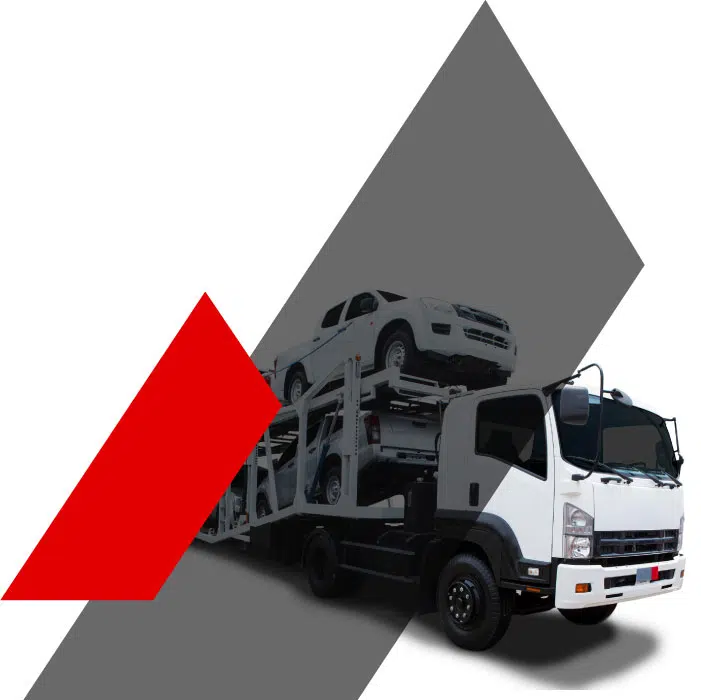 Export Auto Export Auto